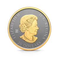 Монета "Празднуйте любовь", 2025 г., Серебро, 31,1 гр., проба 999, КАНАДА